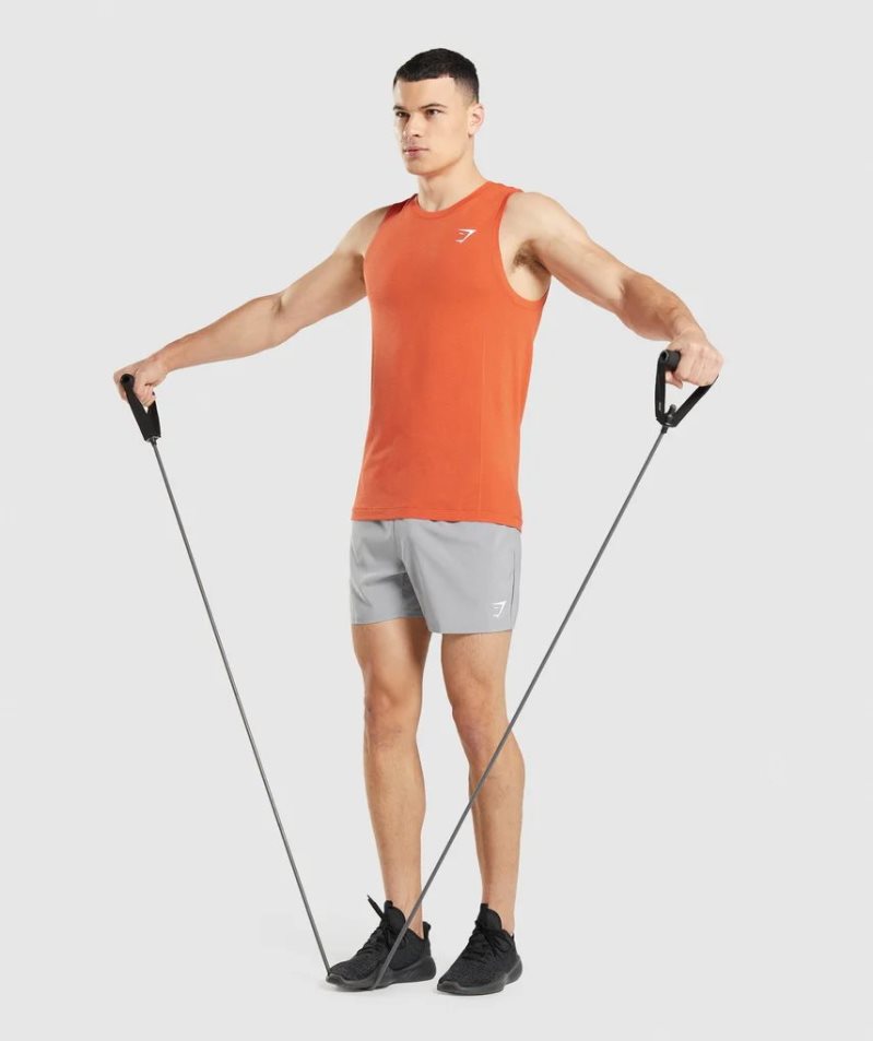 Podkoszulki Gymshark Vital Seamless Light Męskie Pomarańczowe | PL 257EDY